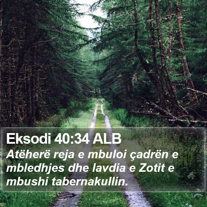 Eksodi 40:34 ALB Bible Study