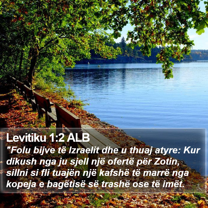 Levitiku 1:2 ALB Bible Study