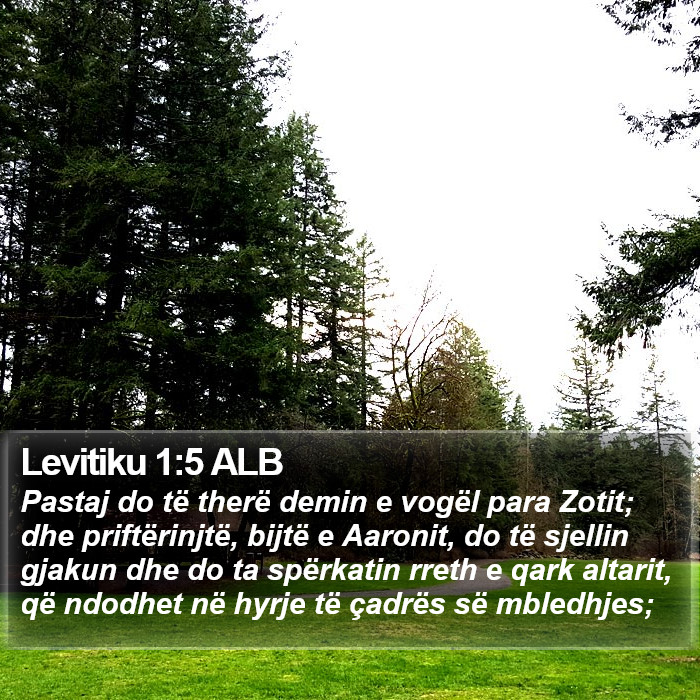 Levitiku 1:5 ALB Bible Study