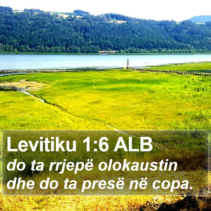 Levitiku 1:6 ALB Bible Study