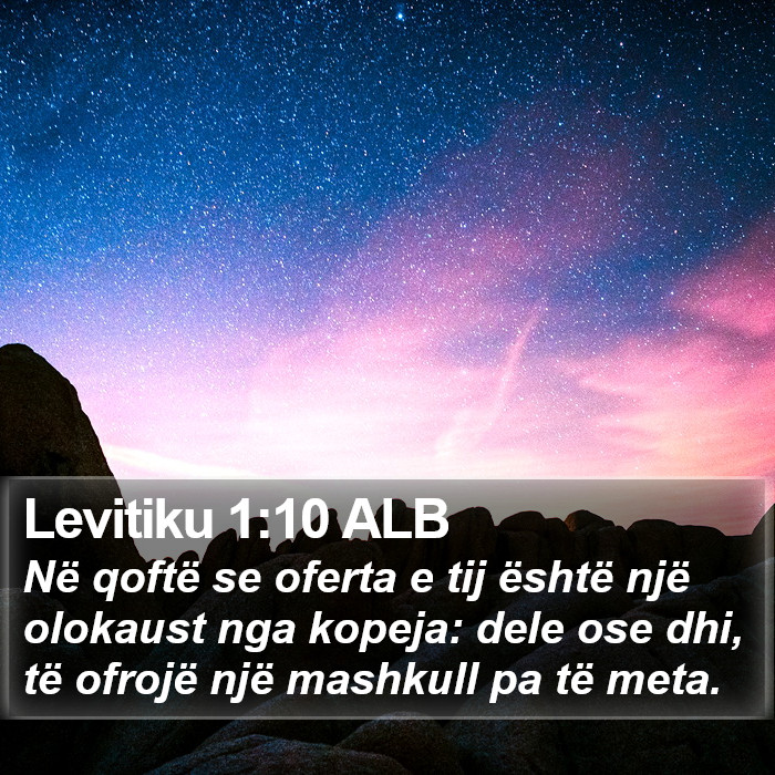 Levitiku 1:10 ALB Bible Study