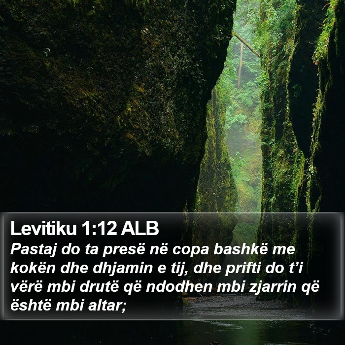 Levitiku 1:12 ALB Bible Study