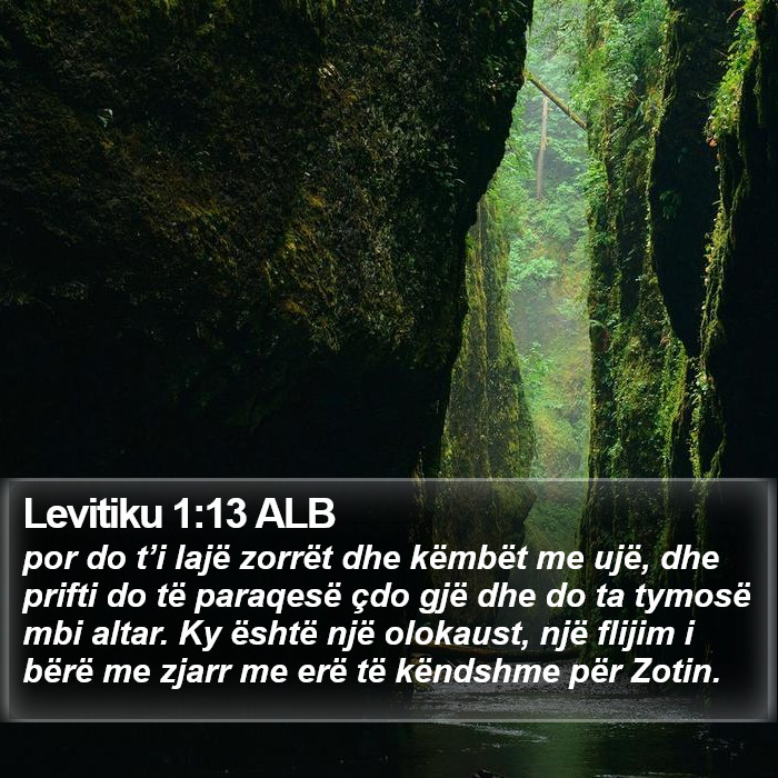 Levitiku 1:13 ALB Bible Study