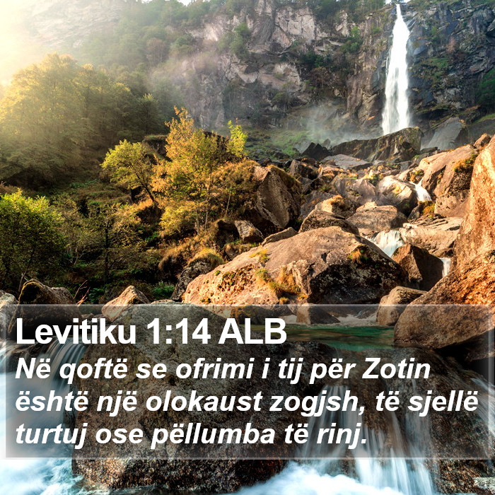 Levitiku 1:14 ALB Bible Study