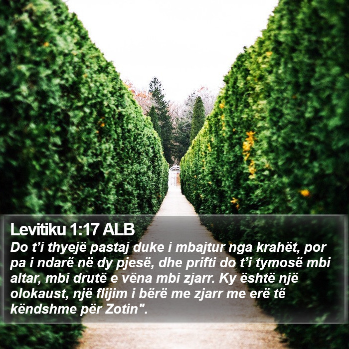 Levitiku 1:17 ALB Bible Study