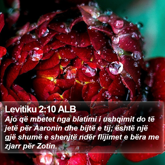 Levitiku 2:10 ALB Bible Study