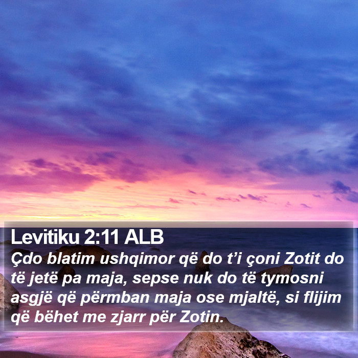 Levitiku 2:11 ALB Bible Study
