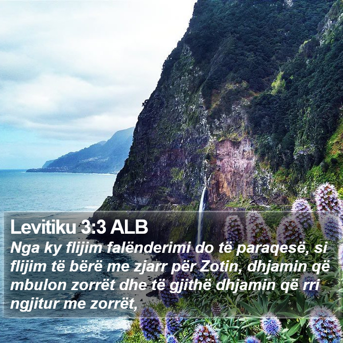 Levitiku 3:3 ALB Bible Study