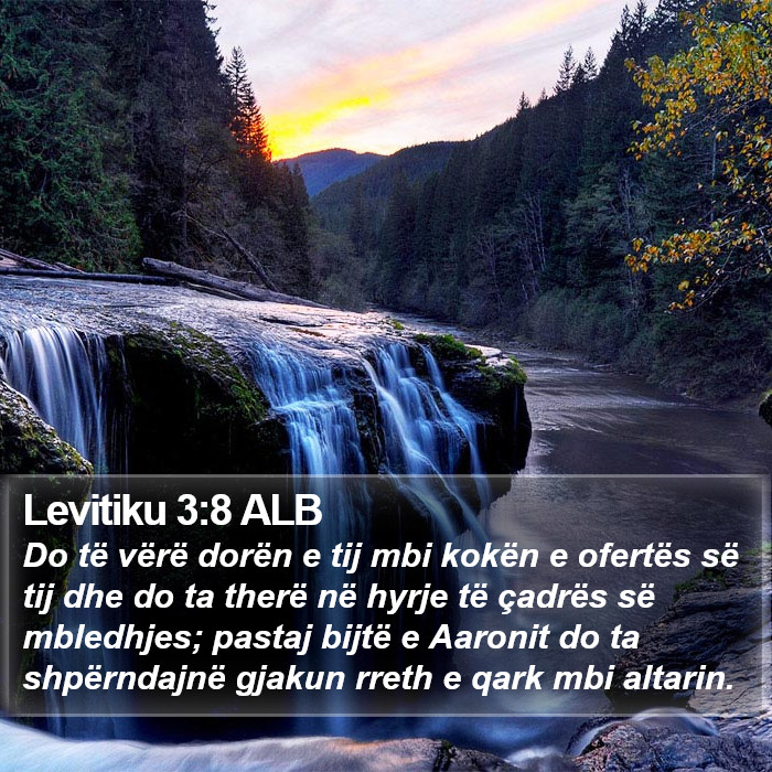 Levitiku 3:8 ALB Bible Study