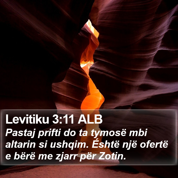 Levitiku 3:11 ALB Bible Study