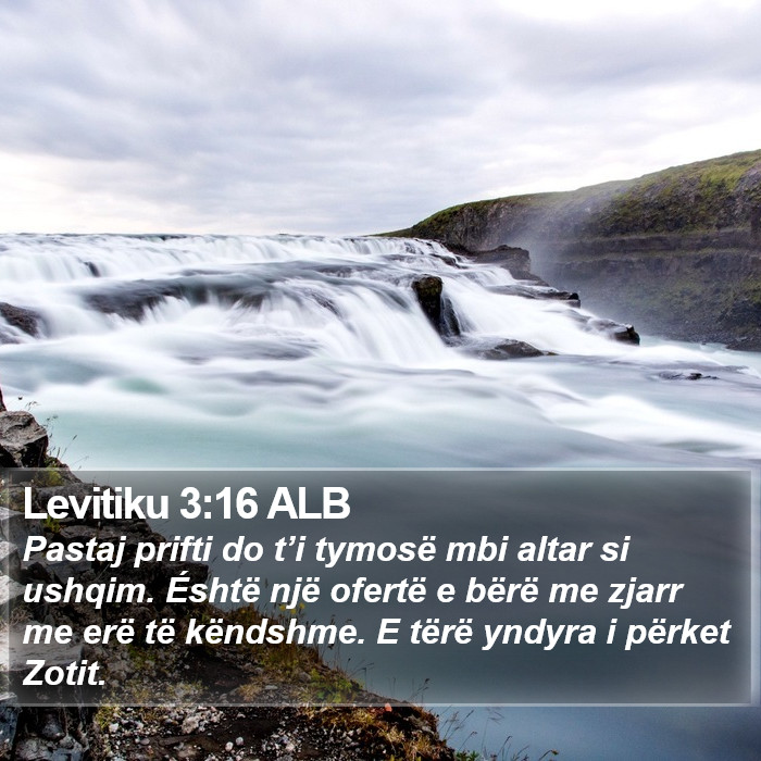 Levitiku 3:16 ALB Bible Study