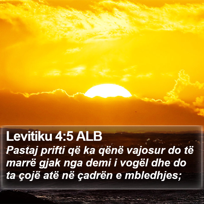 Levitiku 4:5 ALB Bible Study