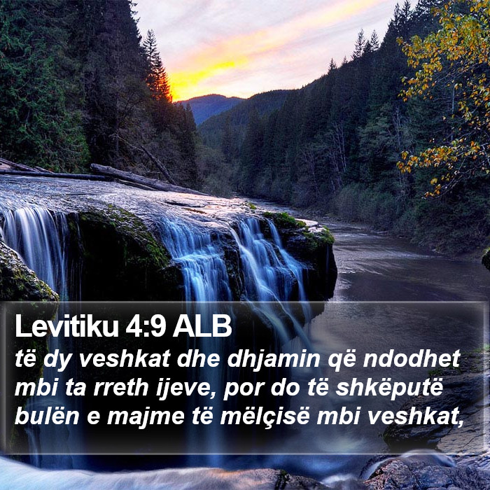 Levitiku 4:9 ALB Bible Study