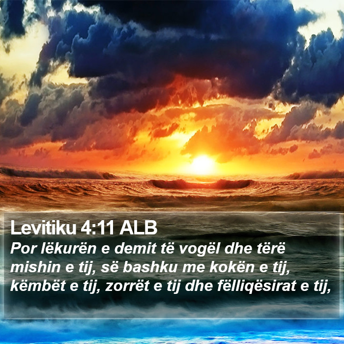 Levitiku 4:11 ALB Bible Study