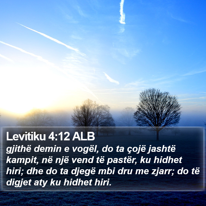 Levitiku 4:12 ALB Bible Study