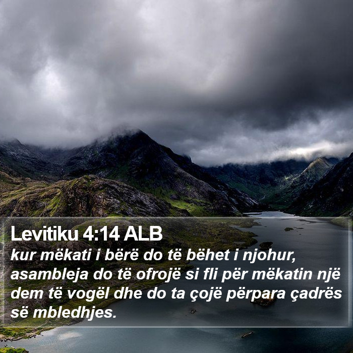 Levitiku 4:14 ALB Bible Study