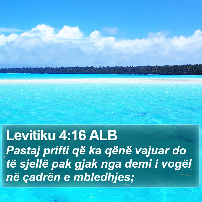 Levitiku 4:16 ALB Bible Study