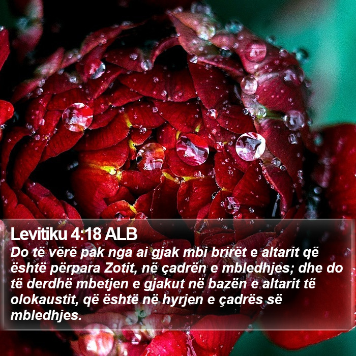Levitiku 4:18 ALB Bible Study