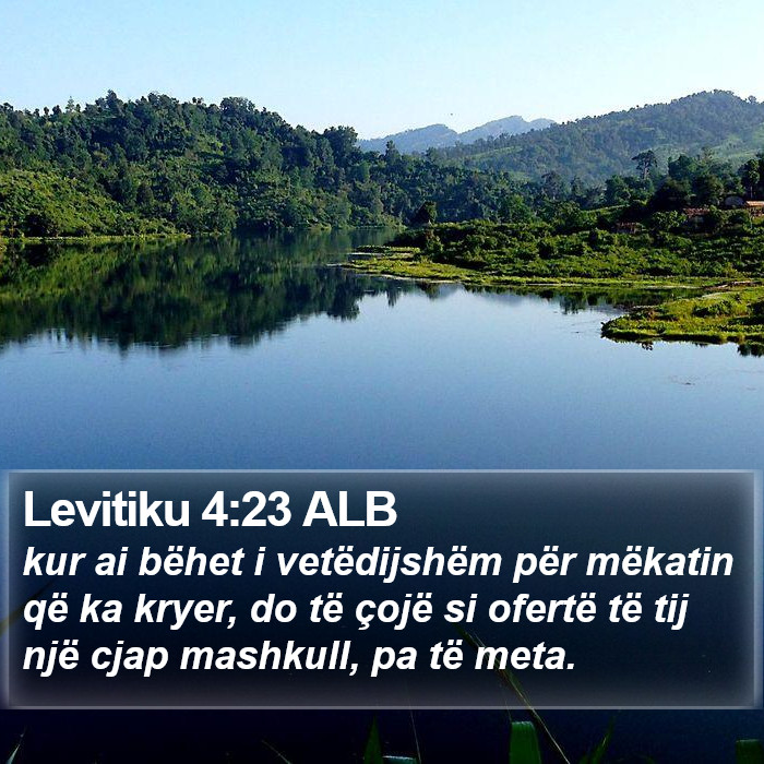 Levitiku 4:23 ALB Bible Study