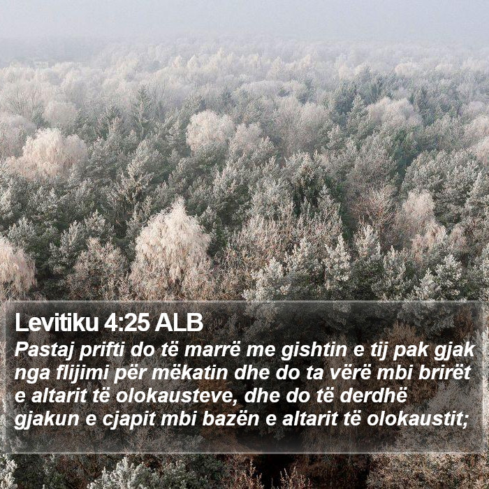 Levitiku 4:25 ALB Bible Study