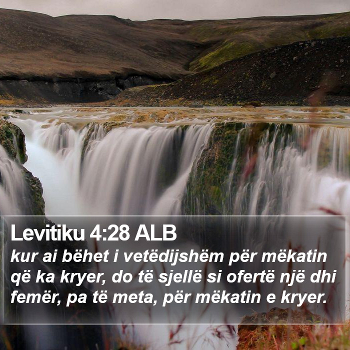 Levitiku 4:28 ALB Bible Study