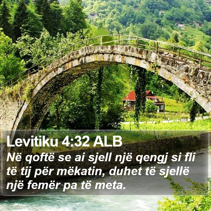 Levitiku 4:32 ALB Bible Study