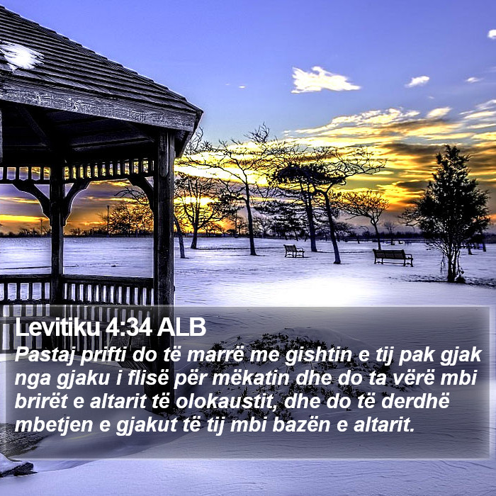 Levitiku 4:34 ALB Bible Study