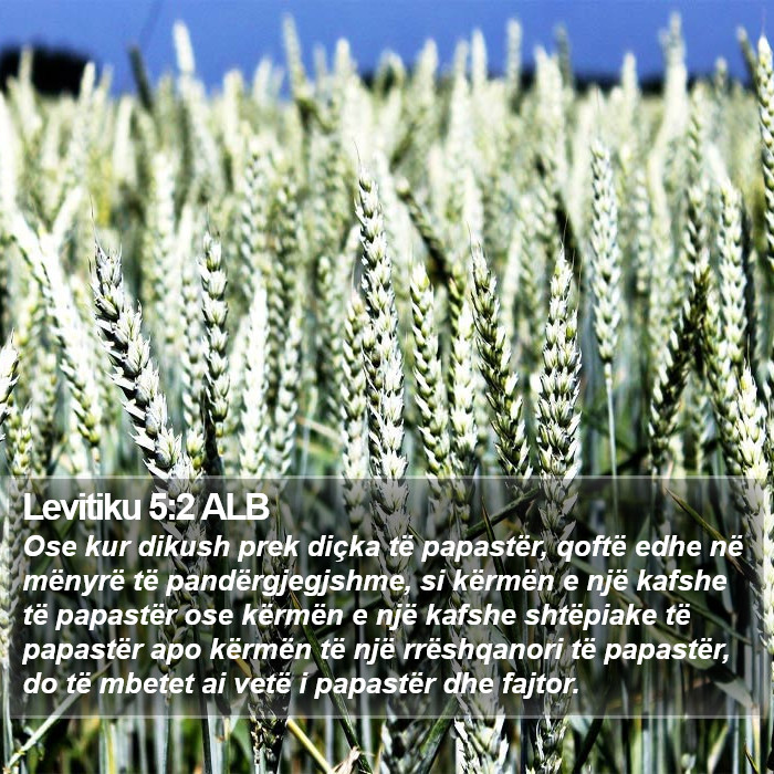 Levitiku 5:2 ALB Bible Study