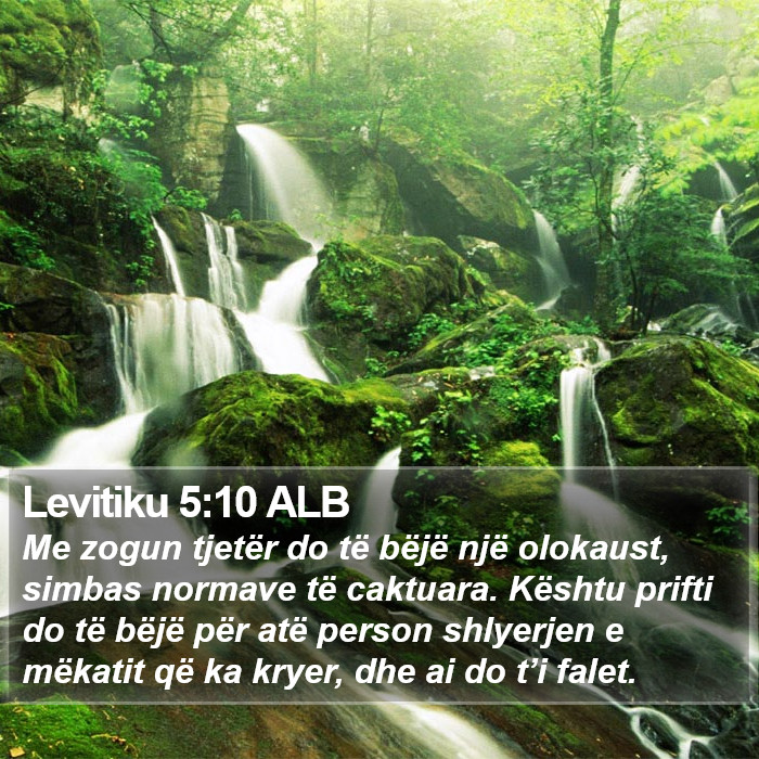 Levitiku 5:10 ALB Bible Study