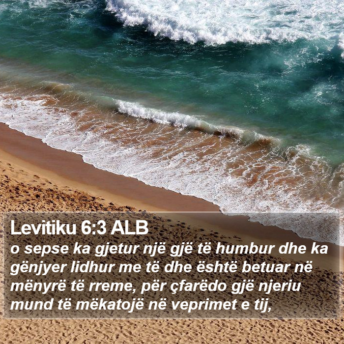 Levitiku 6:3 ALB Bible Study