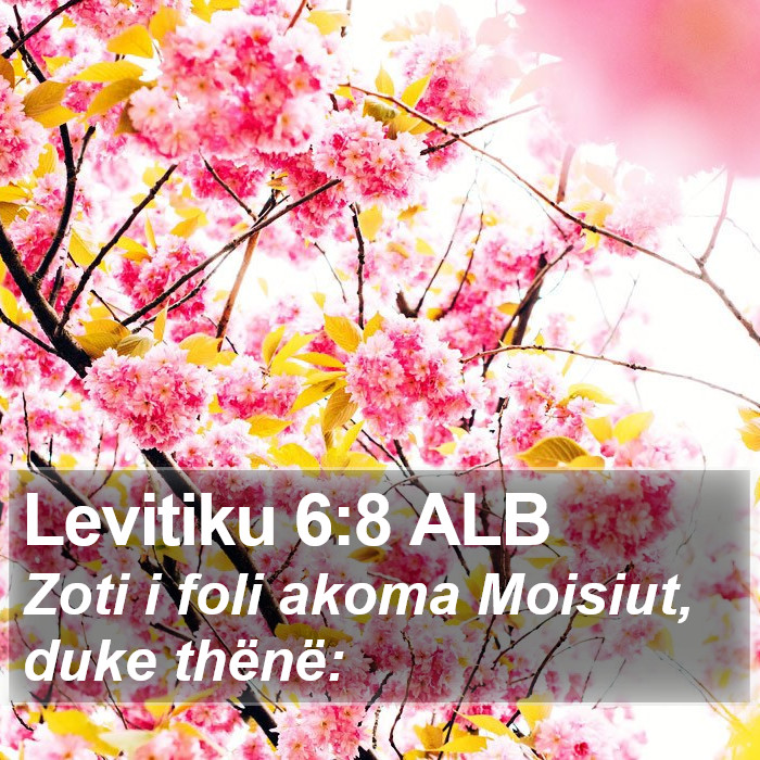 Levitiku 6:8 ALB Bible Study