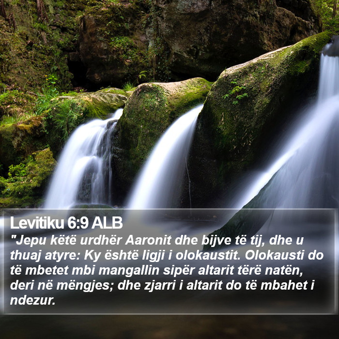 Levitiku 6:9 ALB Bible Study