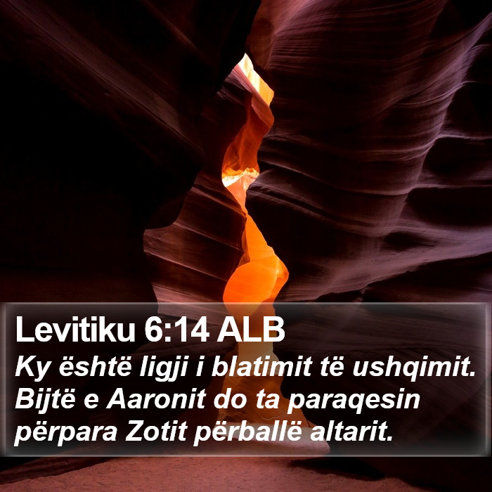 Levitiku 6:14 ALB Bible Study