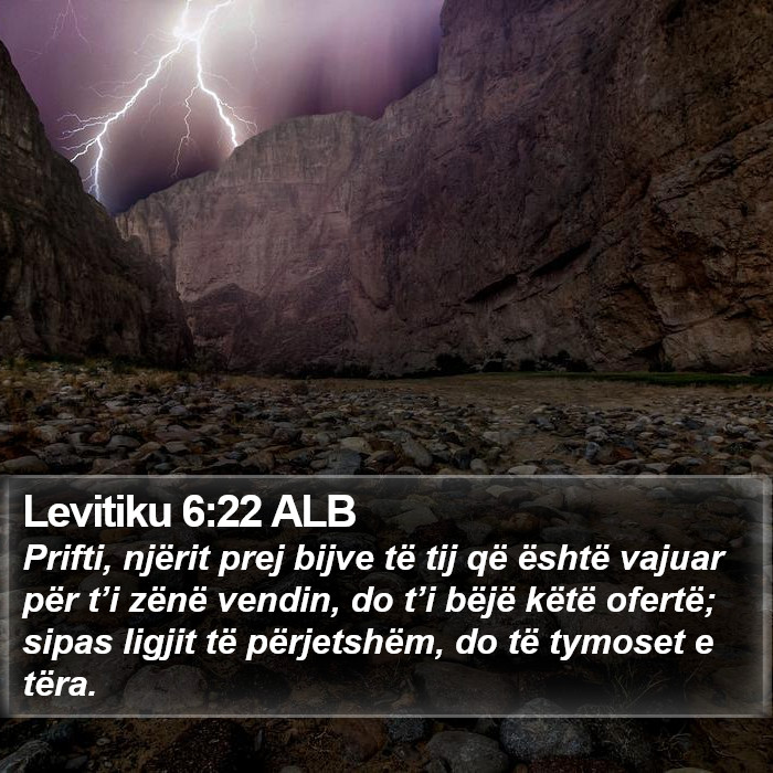 Levitiku 6:22 ALB Bible Study