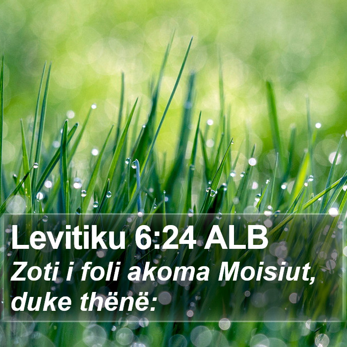 Levitiku 6:24 ALB Bible Study