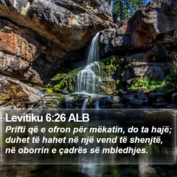 Levitiku 6:26 ALB Bible Study