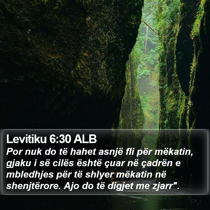 Levitiku 6:30 ALB Bible Study