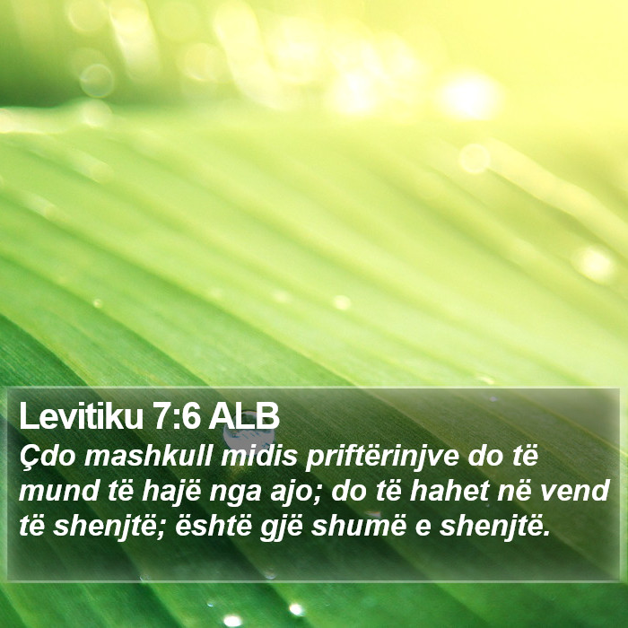 Levitiku 7:6 ALB Bible Study