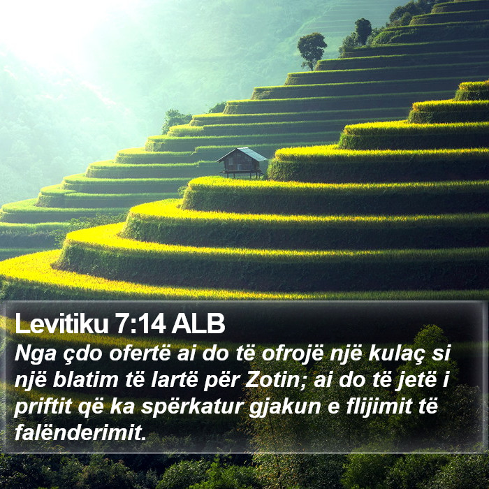 Levitiku 7:14 ALB Bible Study