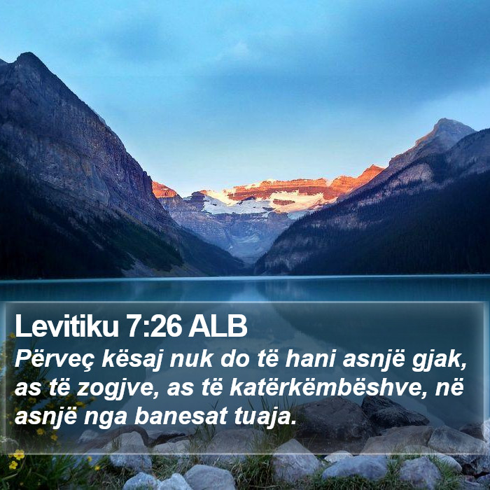 Levitiku 7:26 ALB Bible Study