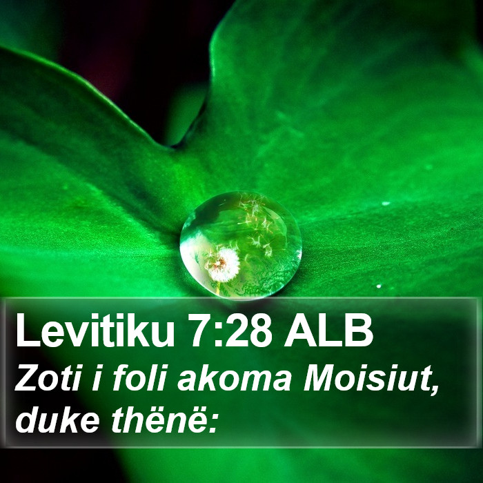 Levitiku 7:28 ALB Bible Study