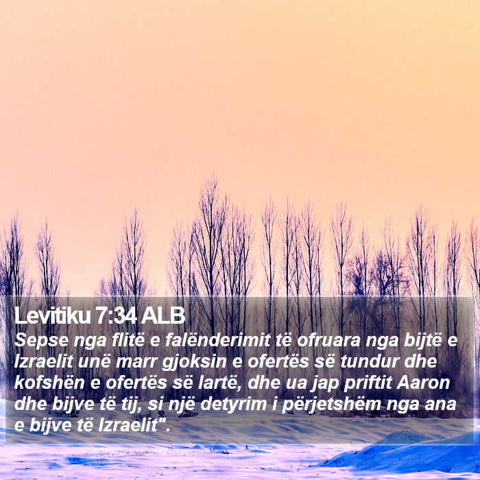 Levitiku 7:34 ALB Bible Study