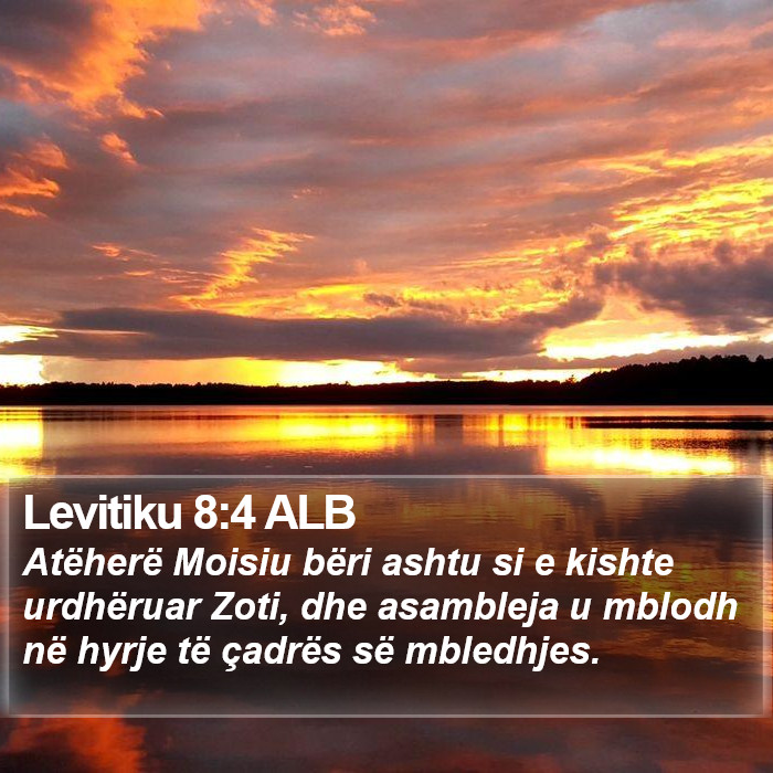 Levitiku 8:4 ALB Bible Study