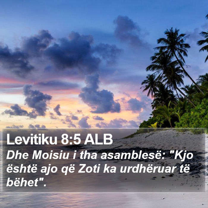 Levitiku 8:5 ALB Bible Study