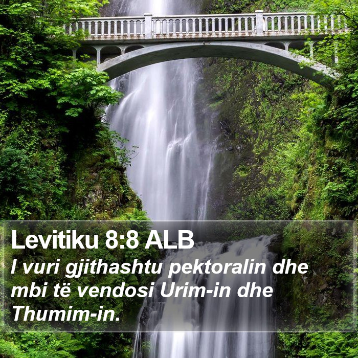 Levitiku 8:8 ALB Bible Study