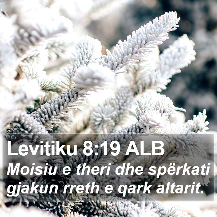 Levitiku 8:19 ALB Bible Study