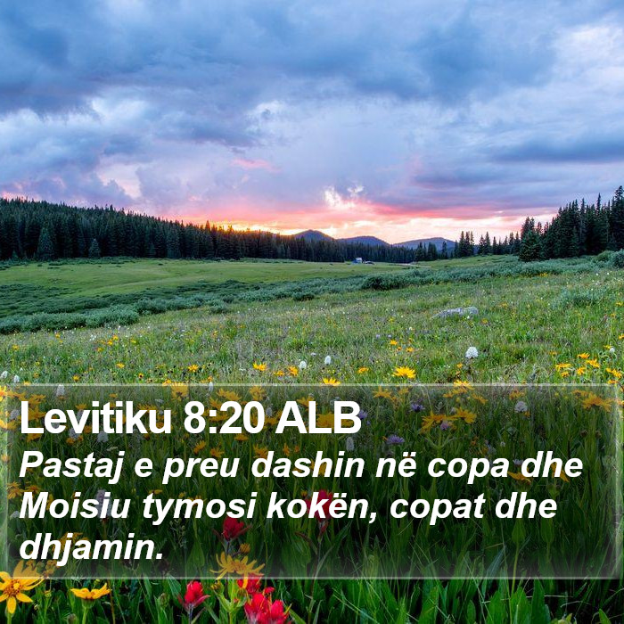 Levitiku 8:20 ALB Bible Study