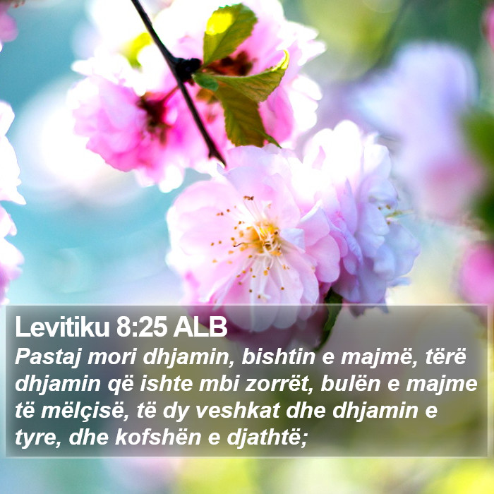 Levitiku 8:25 ALB Bible Study