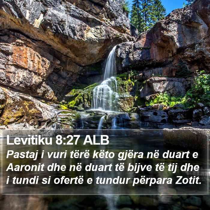 Levitiku 8:27 ALB Bible Study