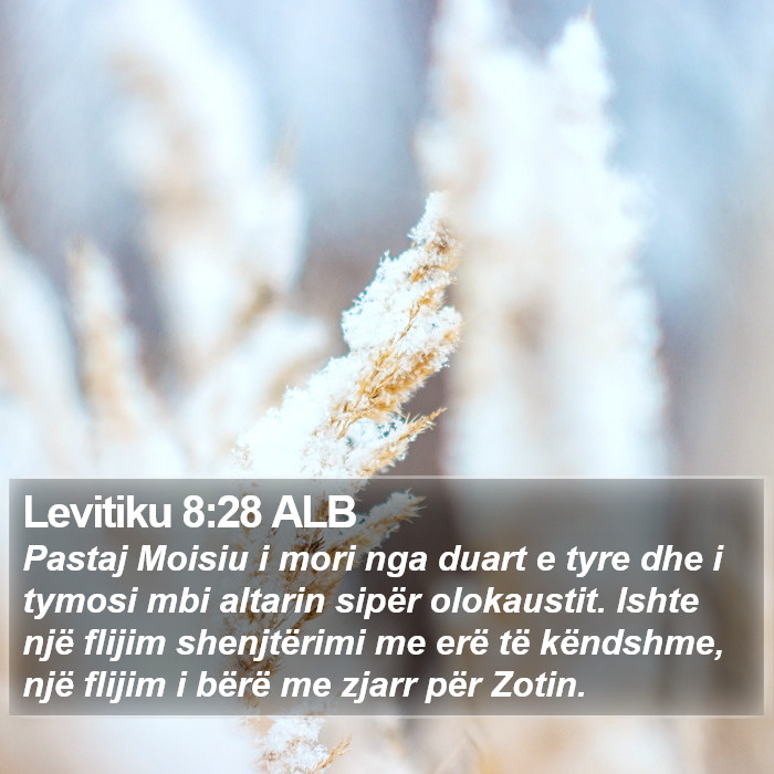 Levitiku 8:28 ALB Bible Study